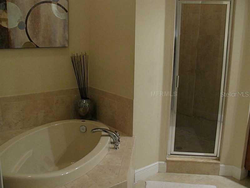 Master Tub and separate Shower