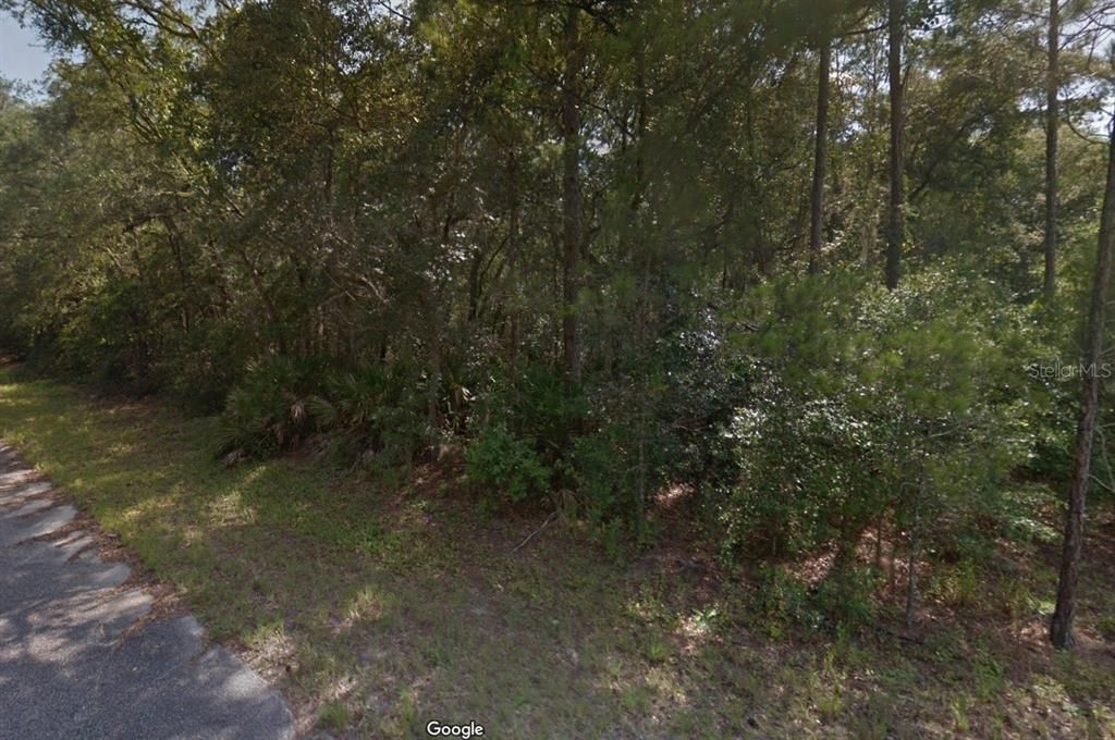 For Sale: $22,000 (0.24 acres)