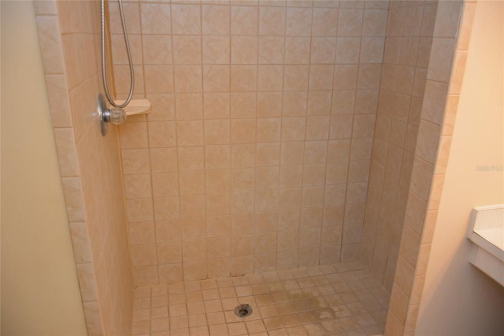 Large step-in shower