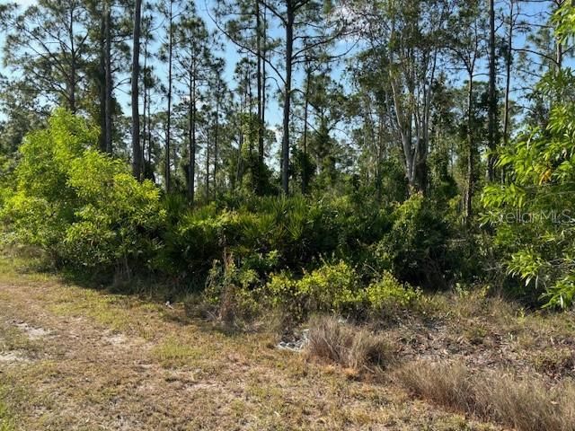 Active With Contract: $15,900 (0.17 acres)
