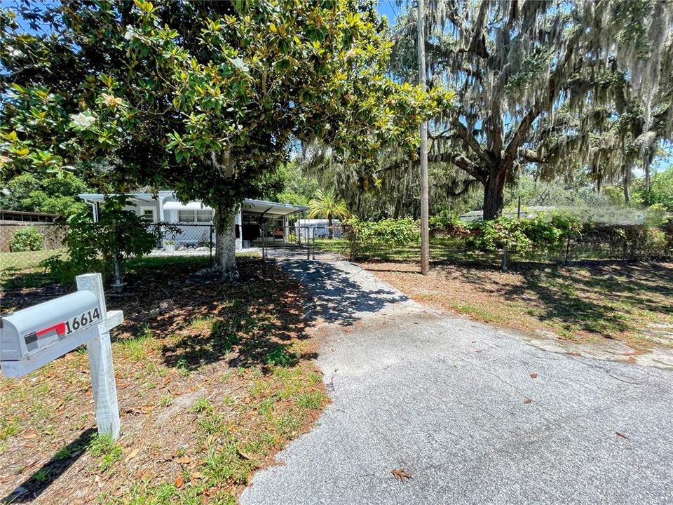 3/2 with carport on a 120' x 140' lot with beautiful oak, palm and magnolia trees.