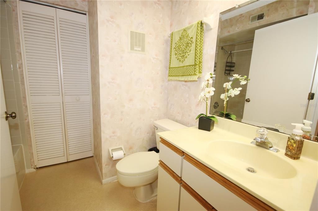Guest Bathroom - showing Laundry Closet