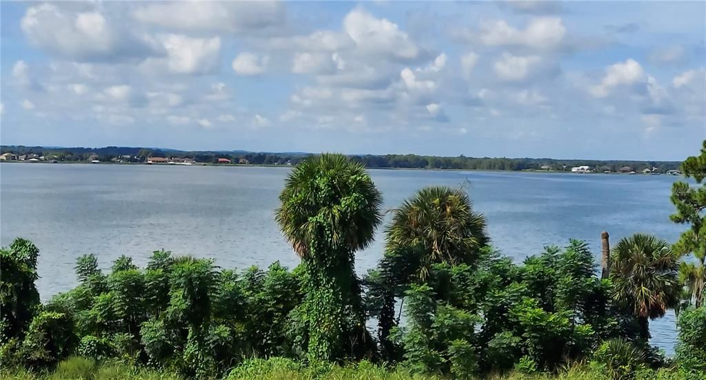 View of Lake Dora