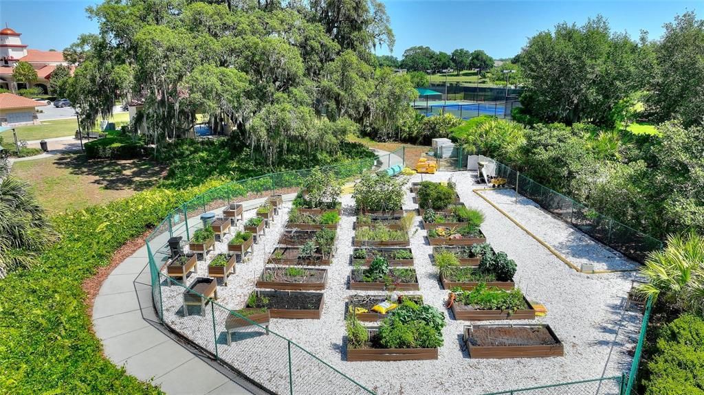 Community Garden