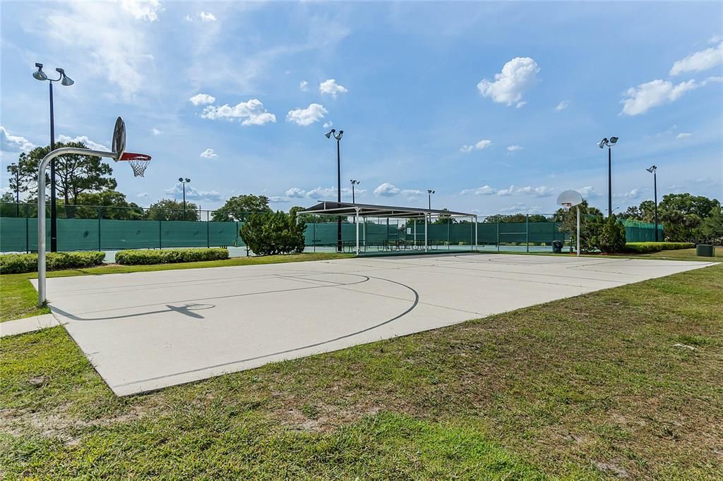 Full Basketball Court