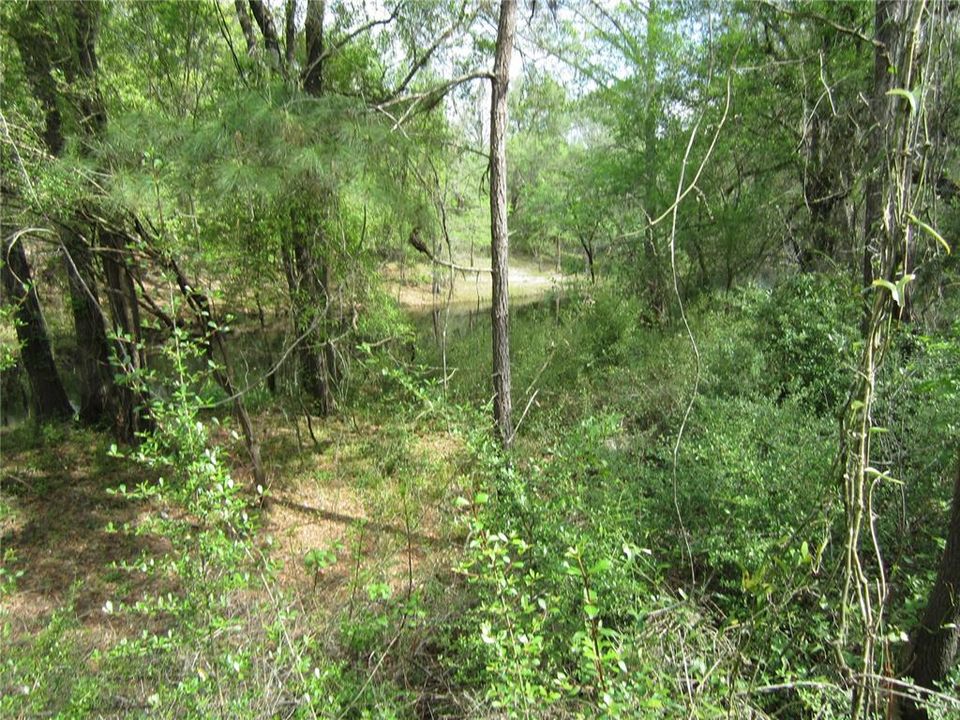 For Sale: $249,000 (1.80 acres)