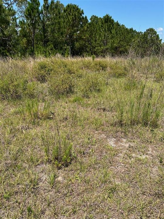 For Sale: $120,000 (0.93 acres)