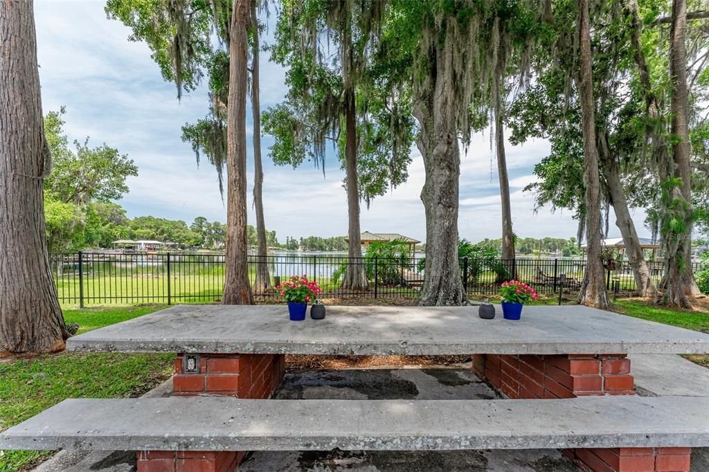 Picnic Table by The Lake