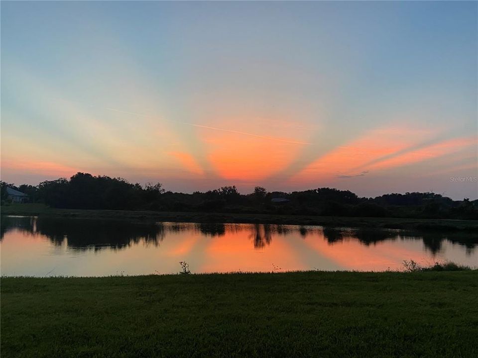 backyard sunset-no filter