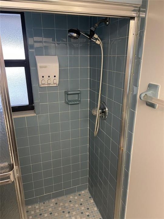 Primary Tiled Shower
