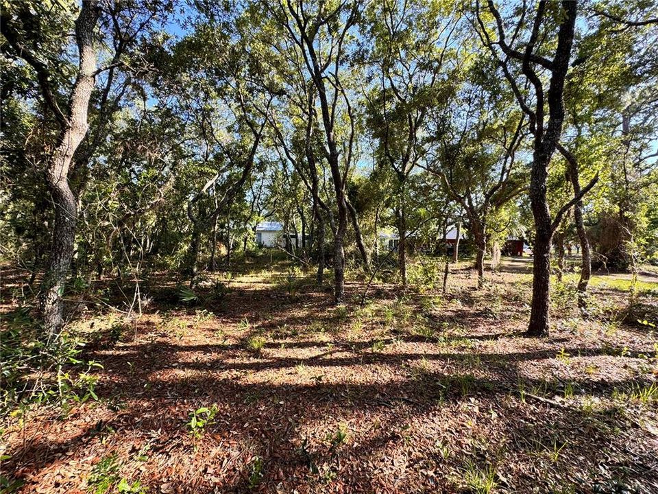 En Venta: $75,000 (0.50 acres)