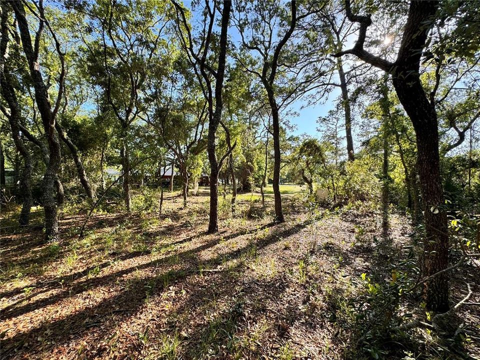 En Venta: $75,000 (0.50 acres)