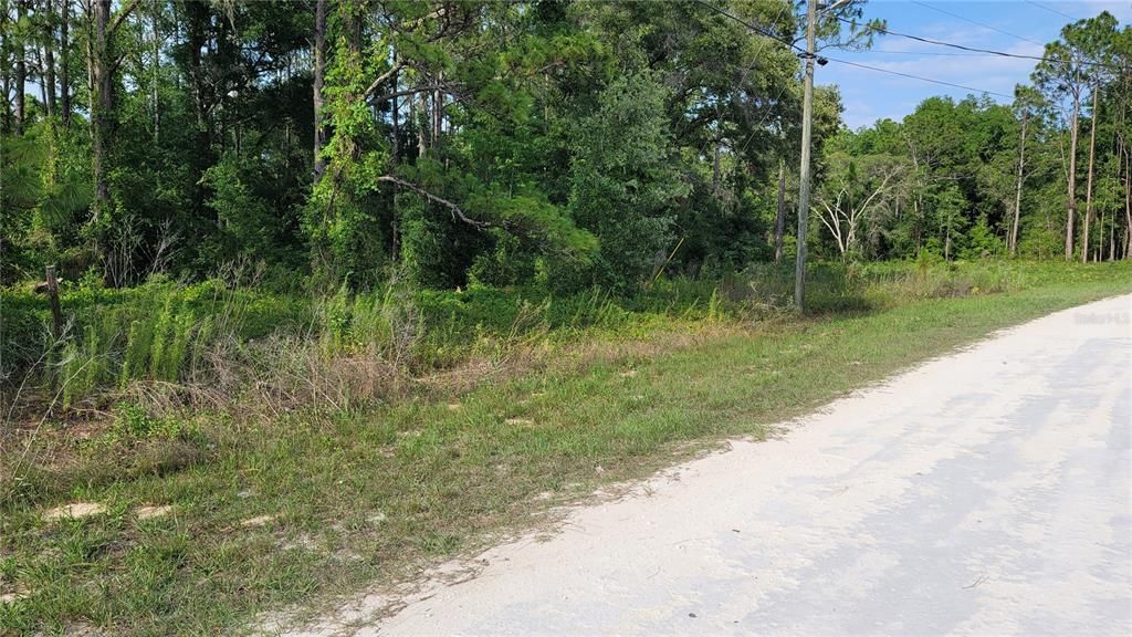 Active With Contract: $27,900 (0.49 acres)