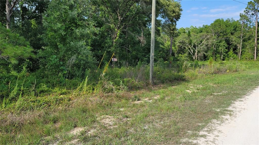 Active With Contract: $27,900 (0.49 acres)