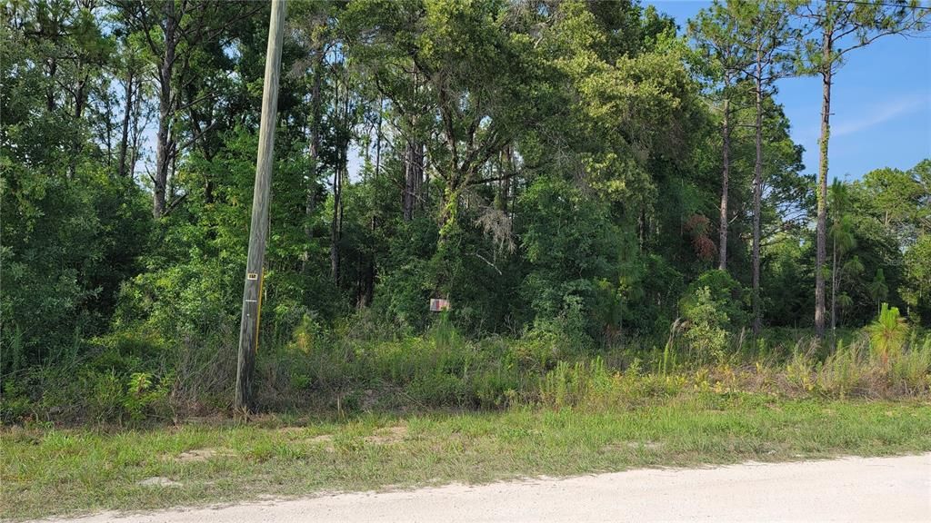 Recently Sold: $27,900 (0.49 acres)