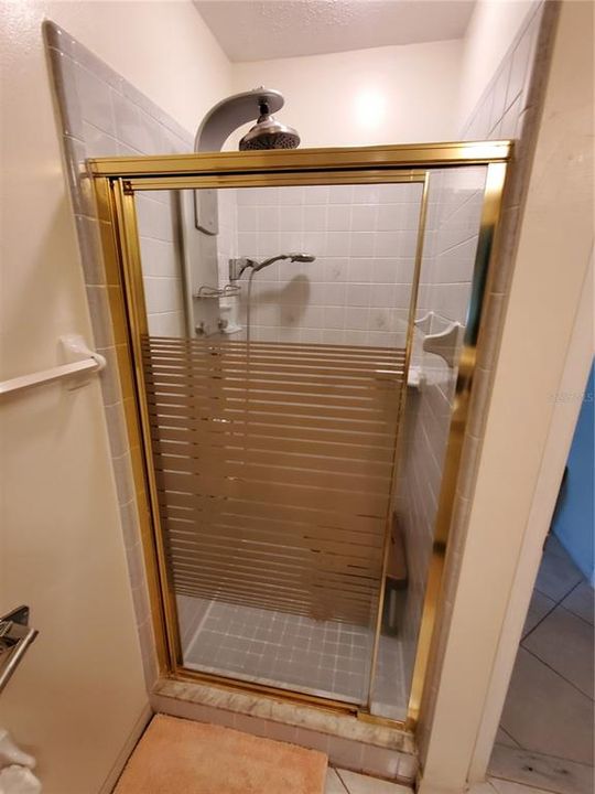 Master BR Shower