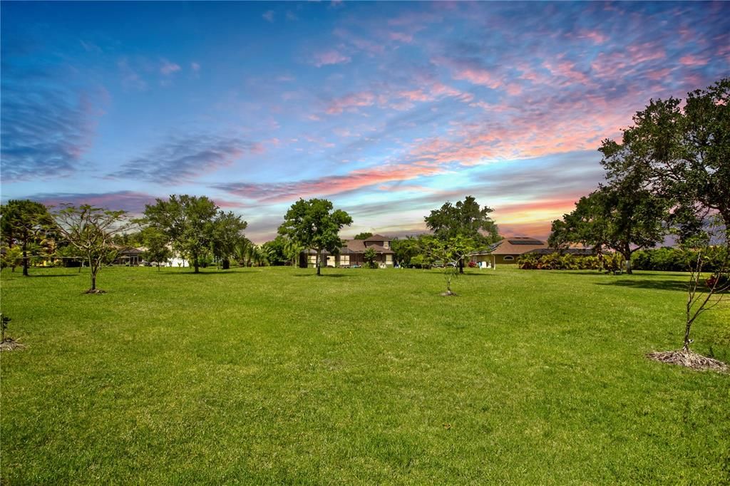 Yard, Rear of Home Sunset