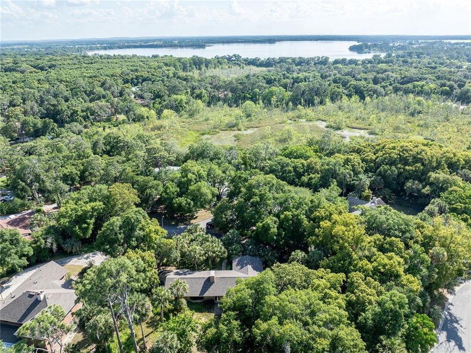 Nestled among the palms and lakes of Mount Dora...