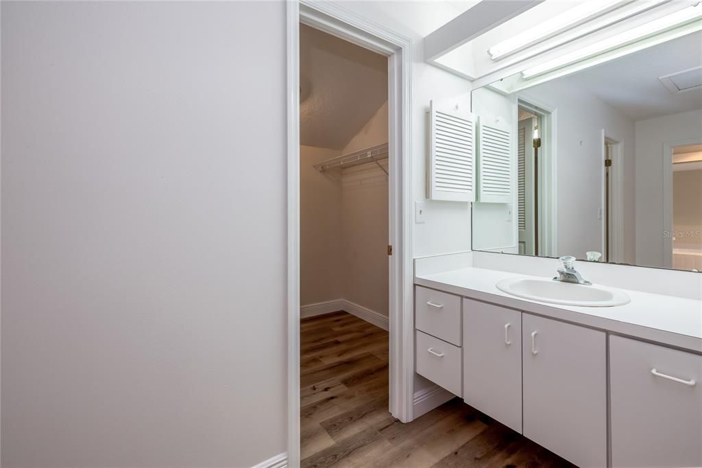 Primary Bathroom and Walk-In Closet