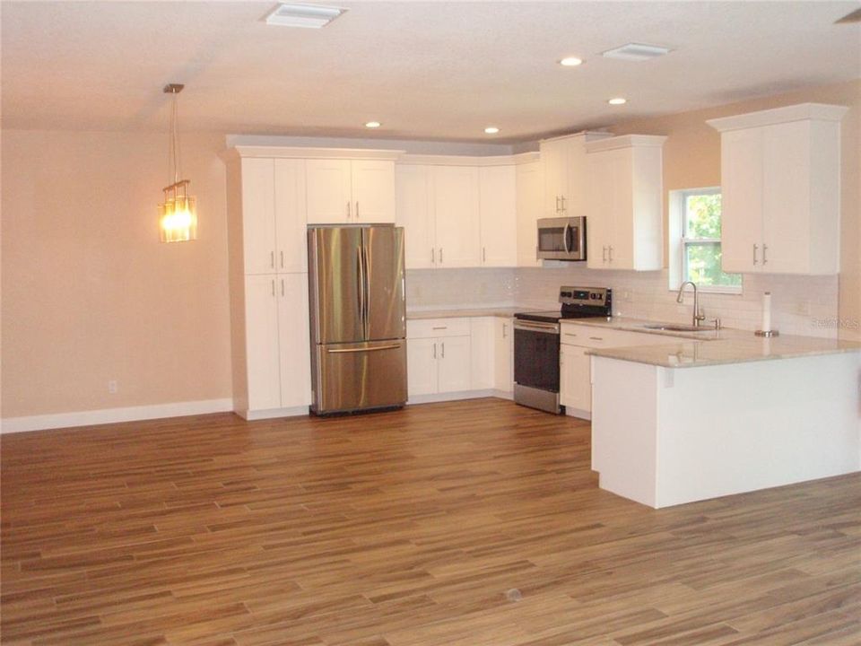 kitchen/dining area