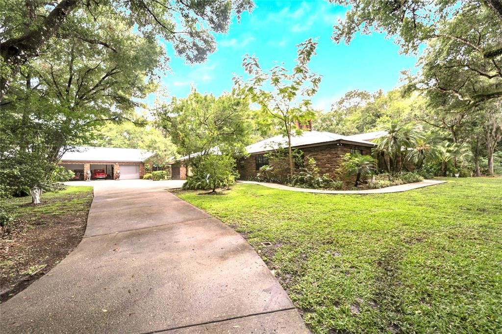 Long Driveway for Privacy