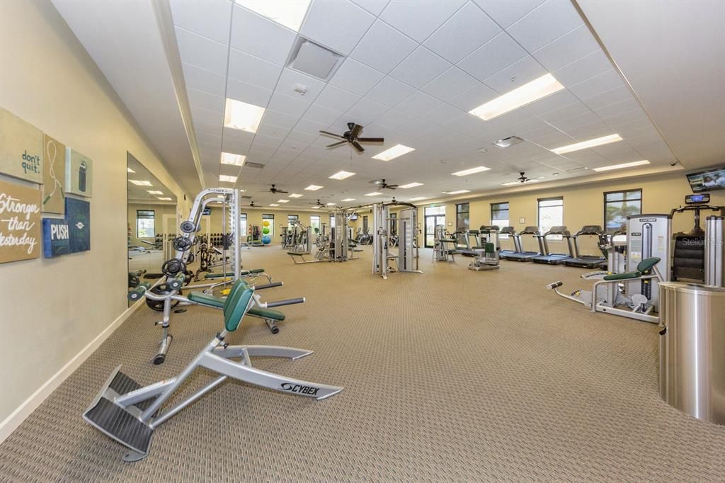 Gym with weights, cardio equipment and organized fitness classes.