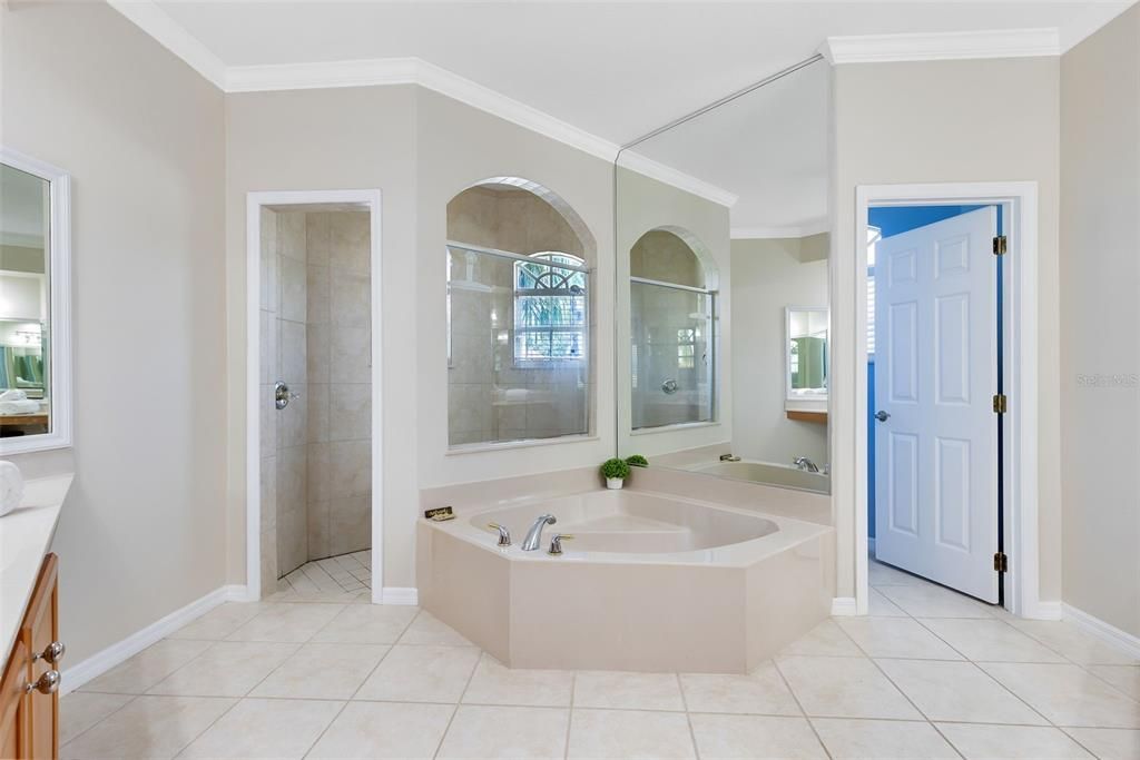 PRIMARY BATHROOM WITH SOAKING TUB, LARGE WALK-IN SHOWER AND WATER CLOSET FOR PRIVACY