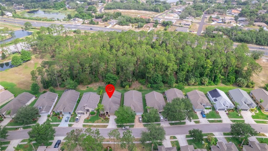 11453 Heritage Point Dr. Aerial View