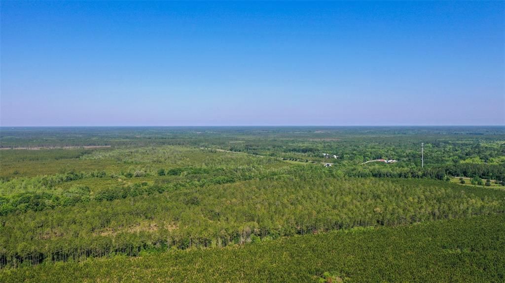 На продажу: $410,500 (39.30 acres)