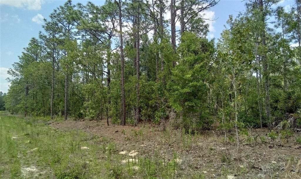 For Sale: $109,900 (2.31 acres)
