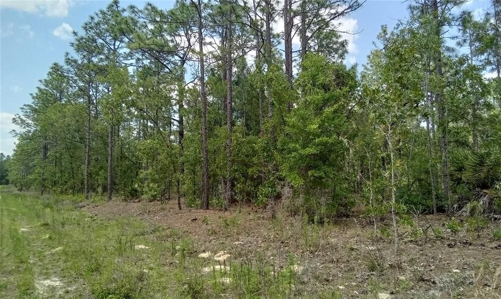 На продажу: $109,900 (2.31 acres)