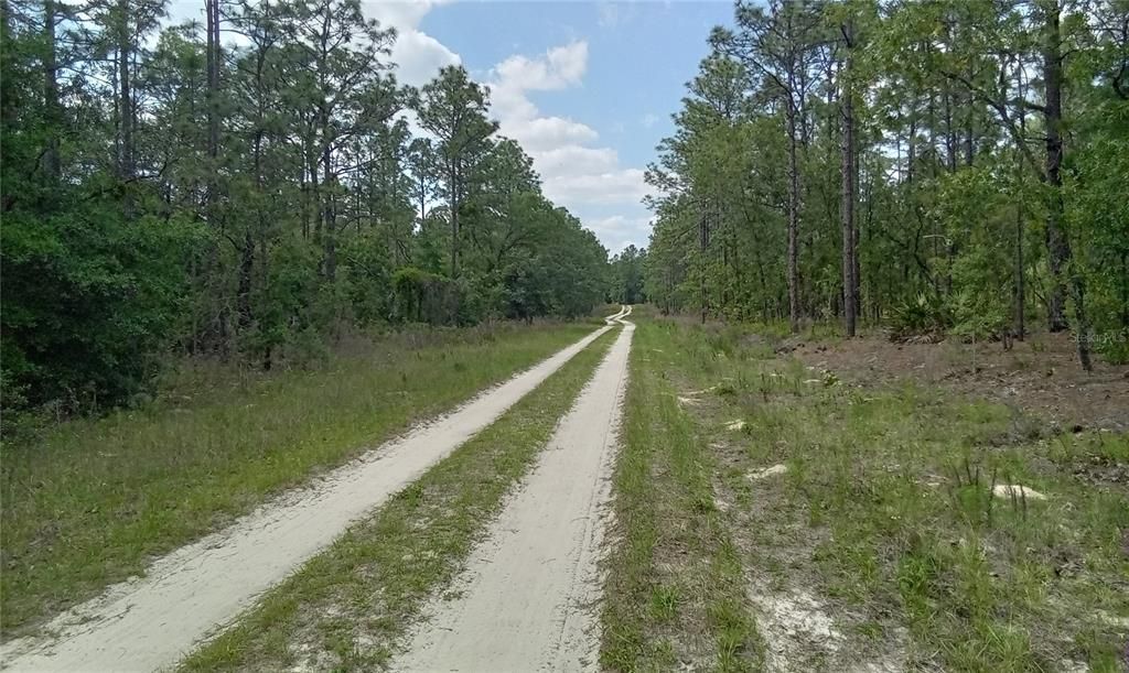 For Sale: $109,900 (2.31 acres)