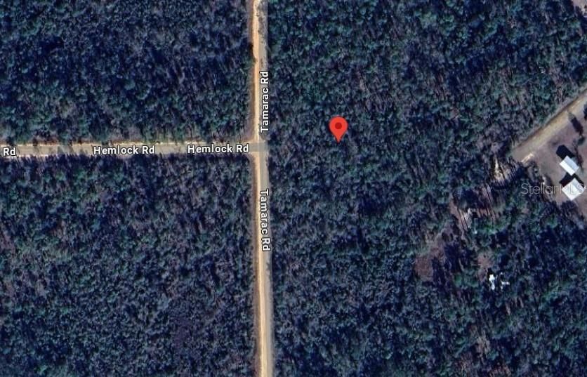 For Sale: $12,900 (1.12 acres)