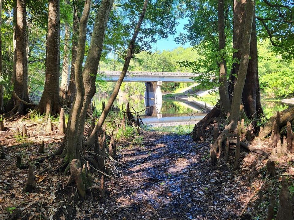 Path at the river