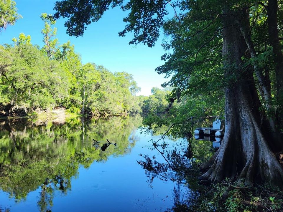 View upstream