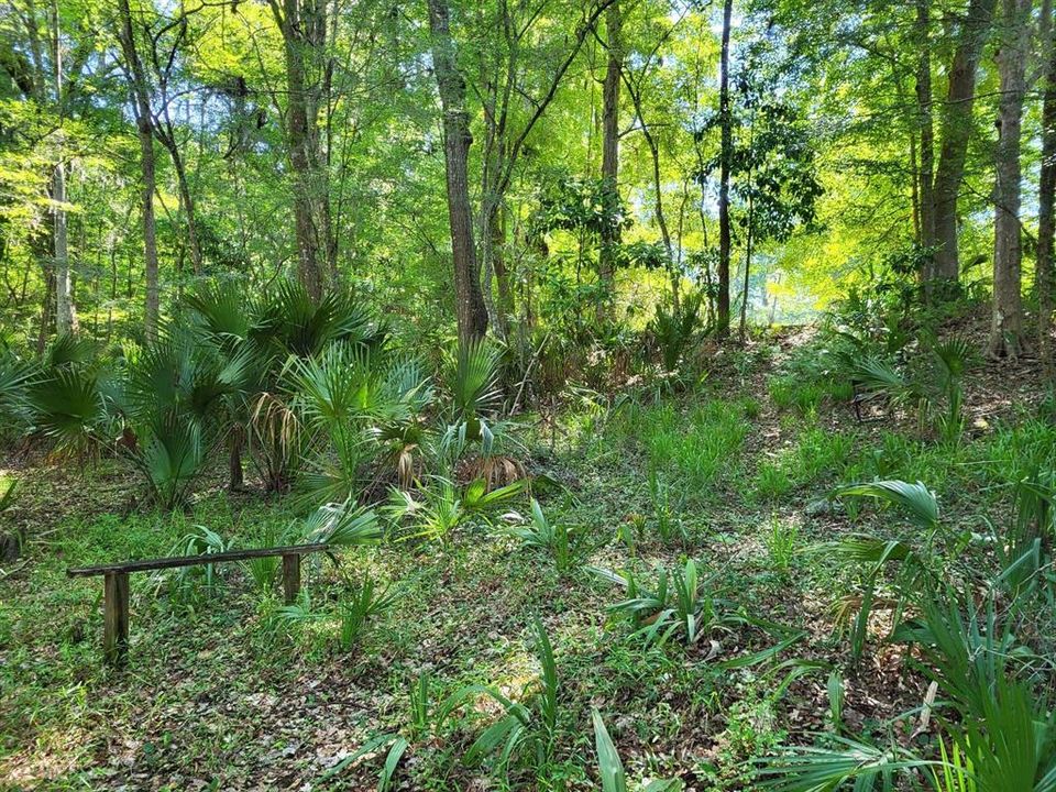 Path from river to house