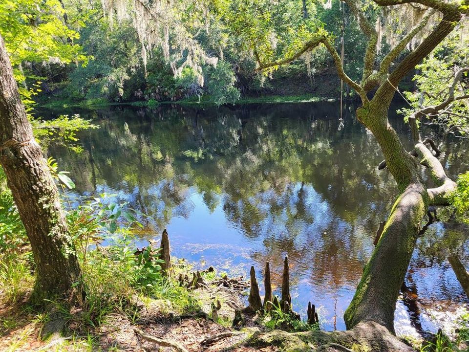 Rope swing