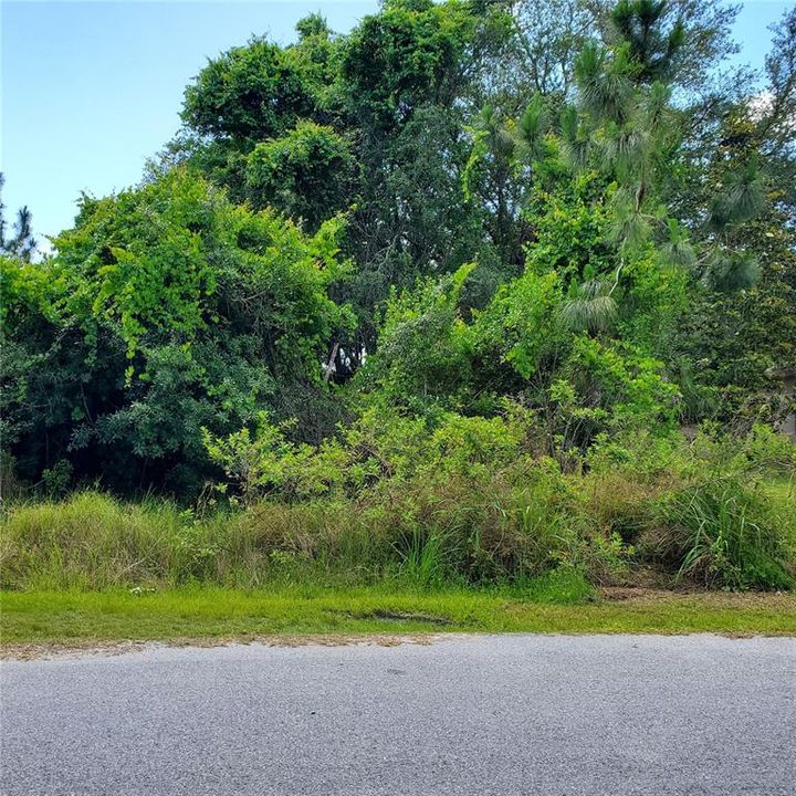 Activo con contrato: $70,000 (0.19 acres)