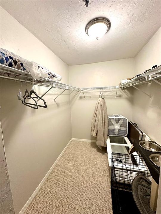 walk in closet in bedroom