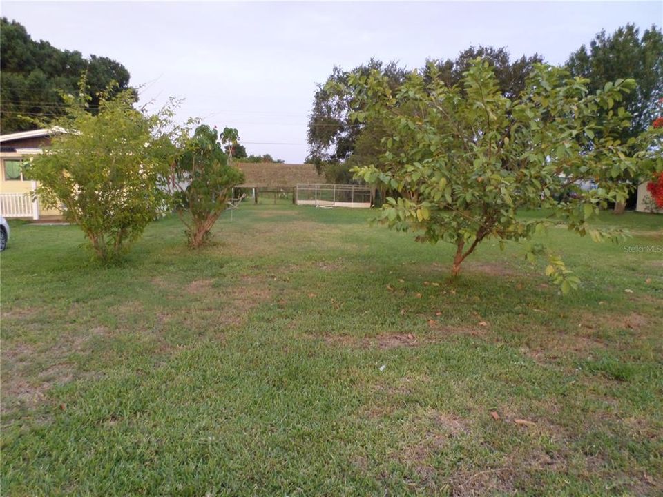 1/2 ACRE LOT