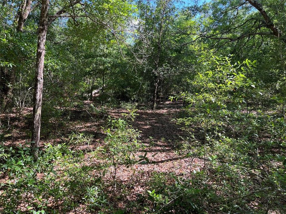 For Sale: $14,900 (1.07 acres)