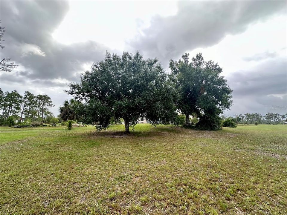 Active With Contract: $399,900 (3 beds, 2 baths, 1512 Square Feet)