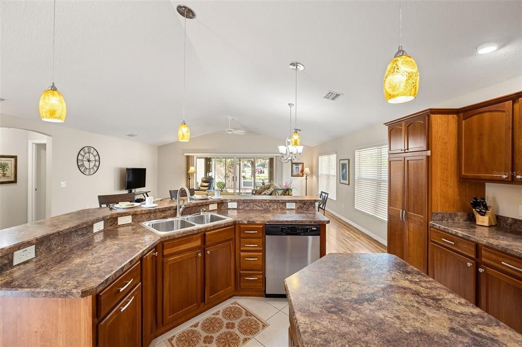 Open concept, Cathedral Ceilings
