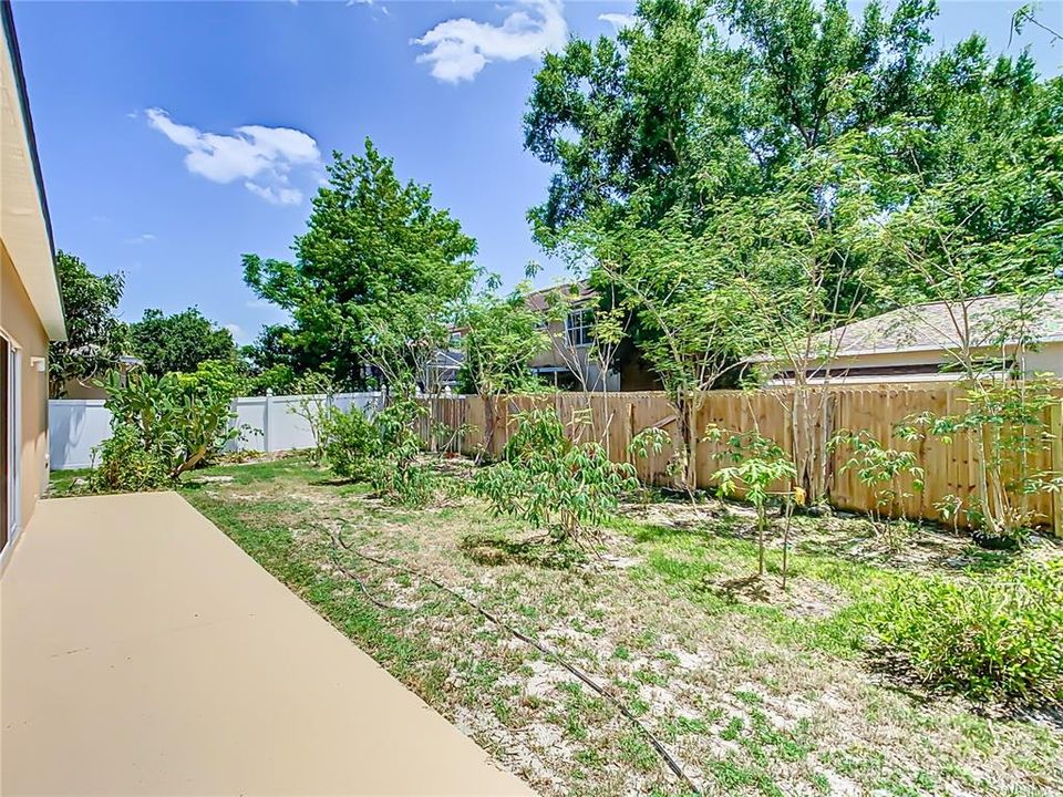 Nice large patio in the backyard