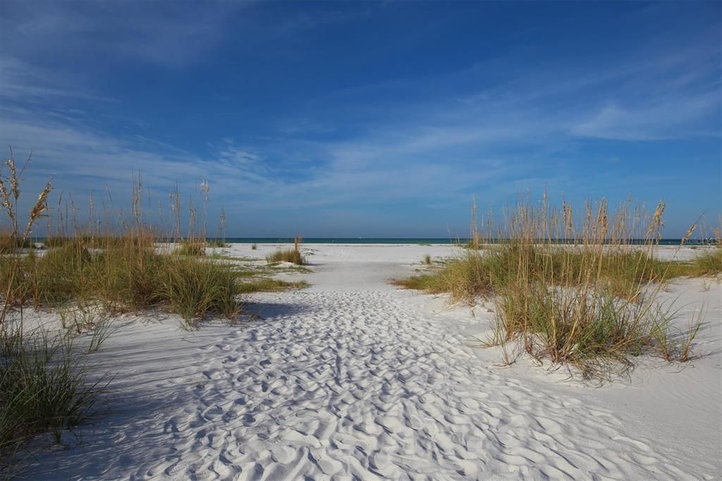 Sea oats and sand