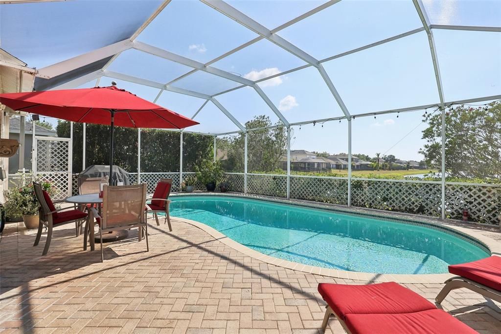 Pool w/ Pond View