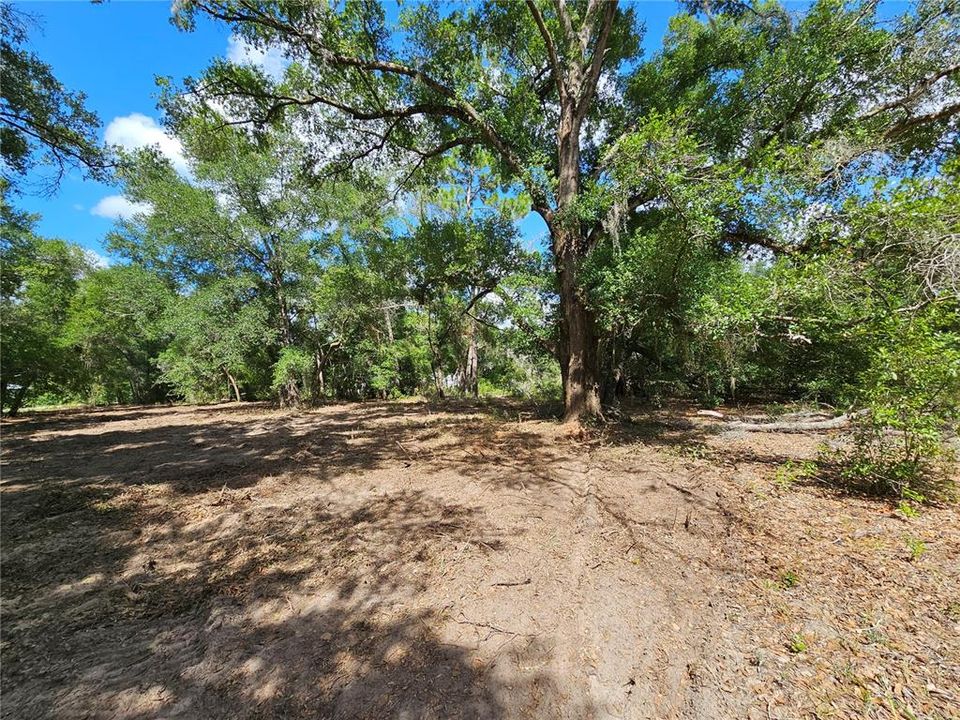 For Sale: $99,900 (2.02 acres)