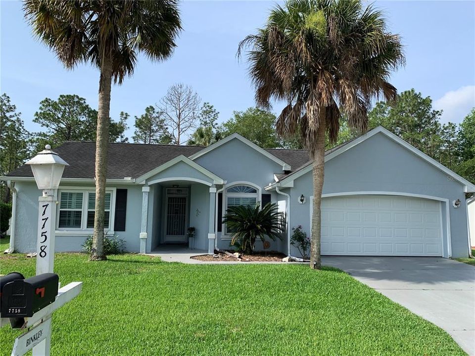 Beautiful Palm Trees, nice lawn and landscaping