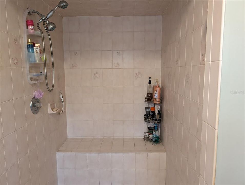 Master Bath Walk-in Shower