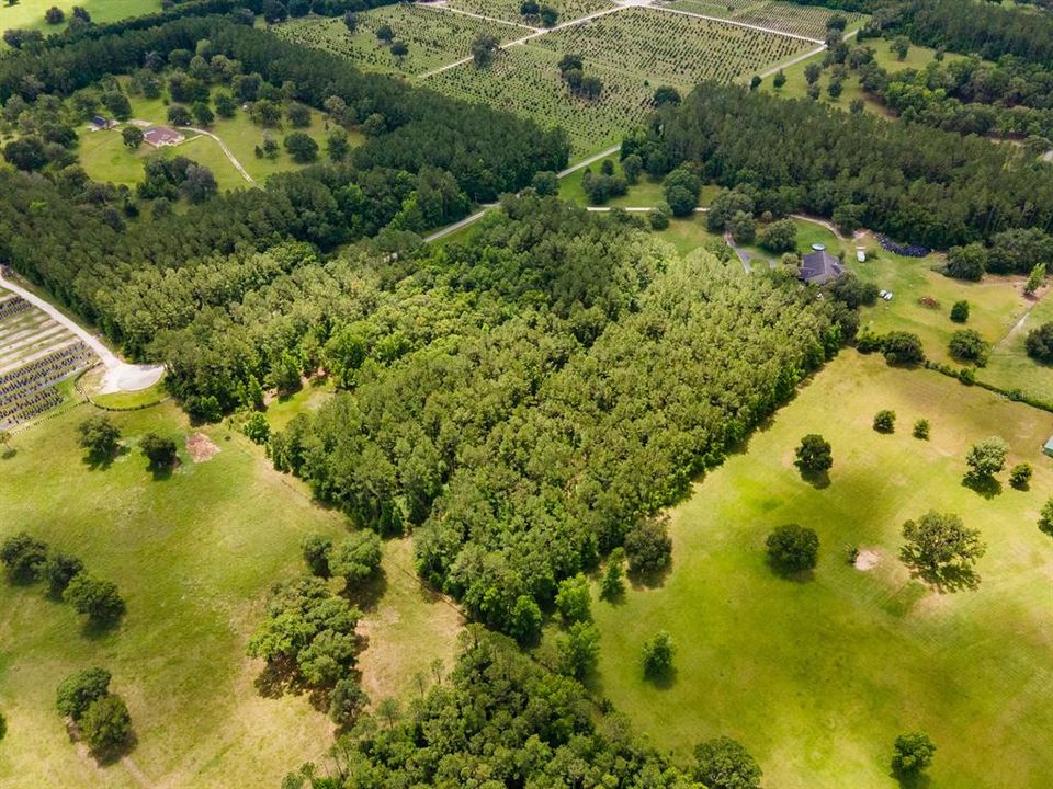 На продажу: $239,900 (10.68 acres)